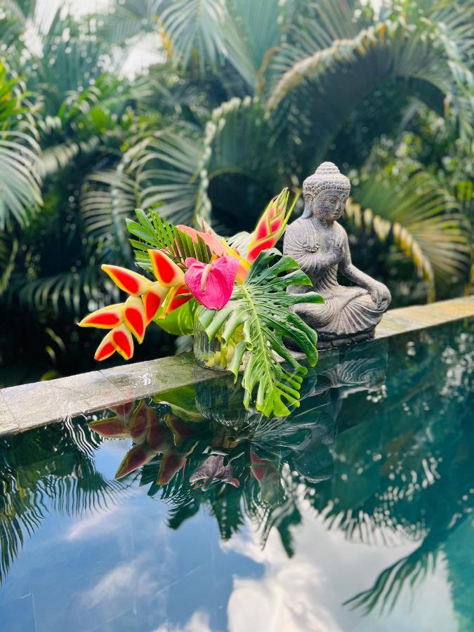 O Palm : Dans Un Petit Ecrin De Verdure Saint-Joseph Екстериор снимка